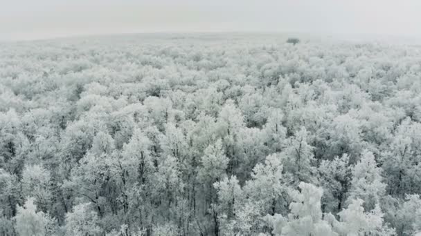 空中镜头无尽的北极冻土带。北极苔原的航拍录像. — 图库视频影像