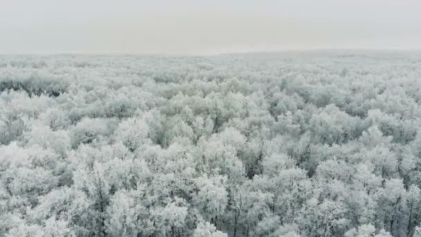 Geniş ve ıssız kutup tundra havadan görüntüleri. — Stok video