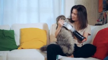 Yapay bir kol olan bir kadın ile onu kedi oynuyor