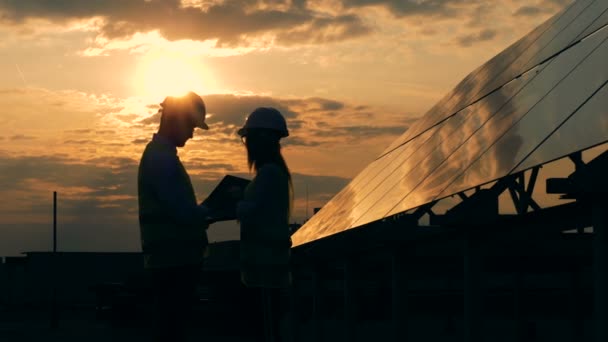 Werknemers praten in de buurt van zon-panelen op een zonsondergang achtergrond, zijaanzicht. — Stockvideo
