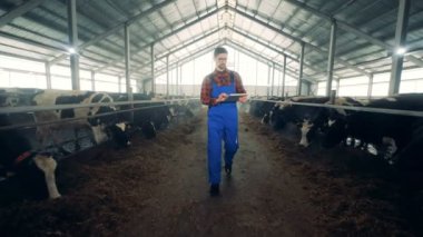 Dostum bir cowshed, bir tablet ile çalışır yakın çekim.