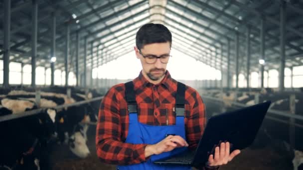 Um homem trabalha com um laptop, andando em um celeiro de vaca, de perto . — Vídeo de Stock