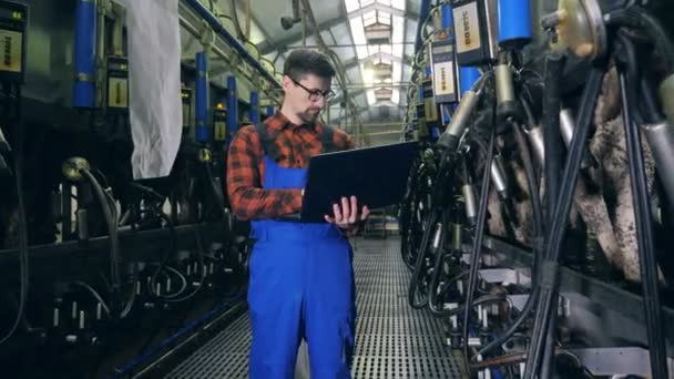 Een man kijken melkmachines in een stal, close-up. — Stockvideo