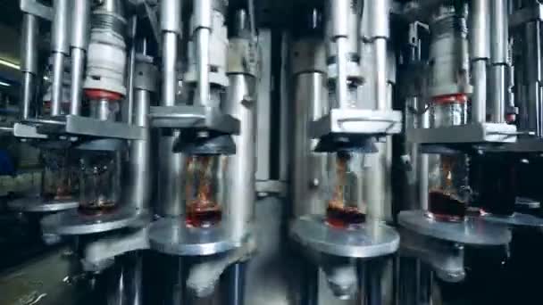 A bebida está sendo derramada em garrafas de vidro por uma máquina industrial — Vídeo de Stock