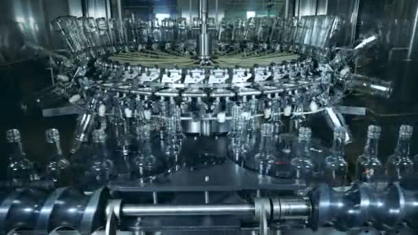 Garrafas de vidro são transportadas por uma máquina de fábrica — Vídeo de Stock