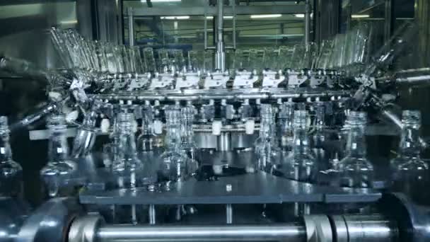 Tomma glasflaskor är i rörelse längs en industriell transportör — Stockvideo