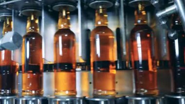 Taze bira şişeleri taşıma fabrika konveyör