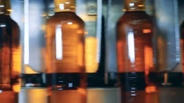 Close up van bewegende glazen flessen gevuld met bier — Stockvideo