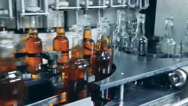 Lege en gevulde glazen flessen evolueren langs de transportband — Stockvideo