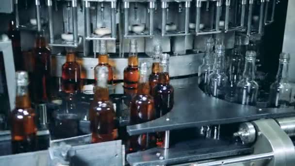 Puste Szklane Butelki Coraz Wypełnione Wydany Przez Maszynę Fabryki — Wideo stockowe