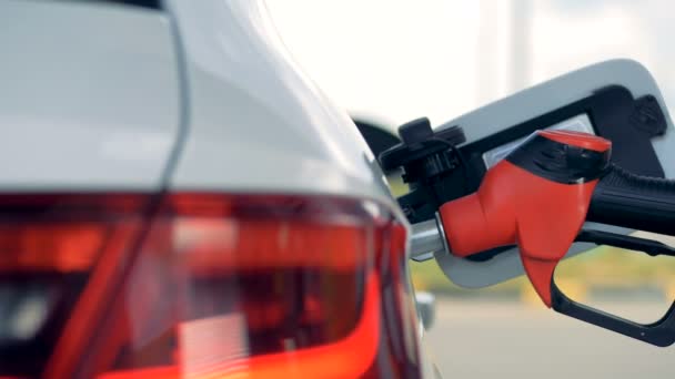 Vista lateral de una boquilla de gasolina insertada en el tanque de automóviles — Vídeo de stock