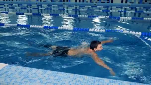 Entrenamientos Nadador Masculino Una Piscina Usando Prótesis — Vídeos de Stock