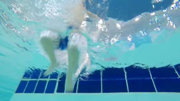 Bebê está mergulhando na piscina — Vídeo de Stock