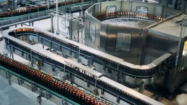 Multiple conveyor belts relocating beer bottles — Stock Video