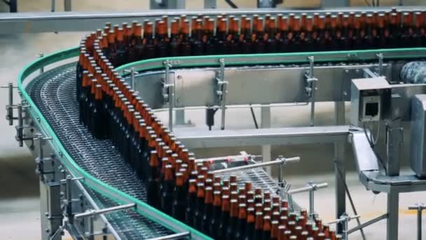 Пивні пляшки зі скла рухаються вздовж конвеєрного поясу — стокове відео