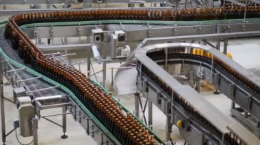 Bira şişeleri yerinden fabrika taşıyıcı bantlar