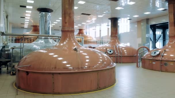 Massive copper reservoirs located in a brewery — Stock Video