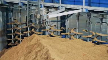 Tahıl, sıralama fabrika makine kadar yakın. İşleme donanımları malt tesisi, malt bira fabrikası.