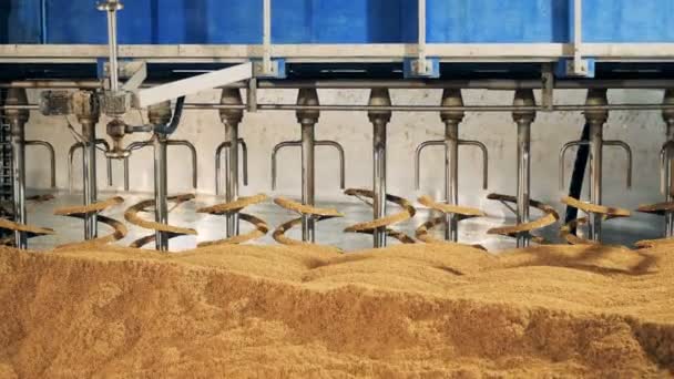 Ένα μηχάνημα ξήρανσης τους σπόρους σε ένα εργοστάσιο, κοντινό πλάνο. — Αρχείο Βίντεο