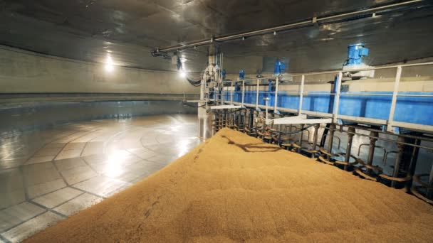 Metal machine drying seed at a warehouse. Malt processing equipment at malt plant, brewery. — Stock Video