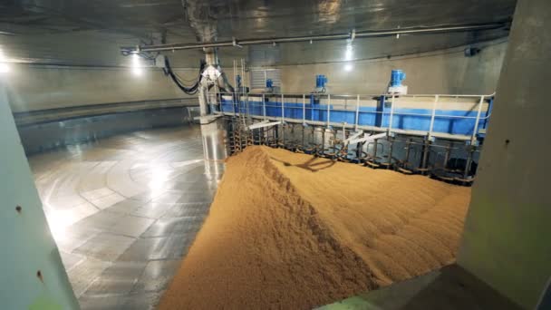 Lagerausrüstung, die mit Nutzpflanzen arbeitet. Behandlung von Malz in einer Brauerei. — Stockvideo