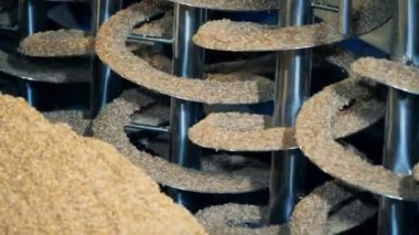 Fabrika makine dönen tahıl, yakın çekim. İşleme donanımları malt tesisi, malt bira fabrikası.