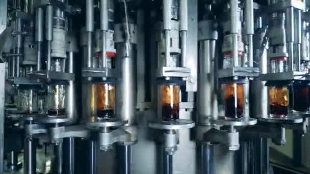 Machine fabriek vult flessen met alcohol, close-up. — Stockvideo