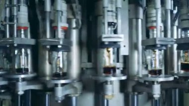 Şişe doldurma bir fabrikada. Viski ve brendi damıtım.