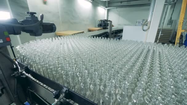 Glazen flessen op een transportband, close-up. — Stockvideo