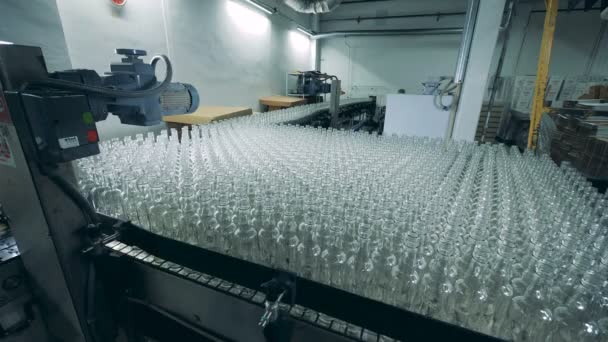 Bottles for alcohol on a special conveyor, close up. — Stock Video