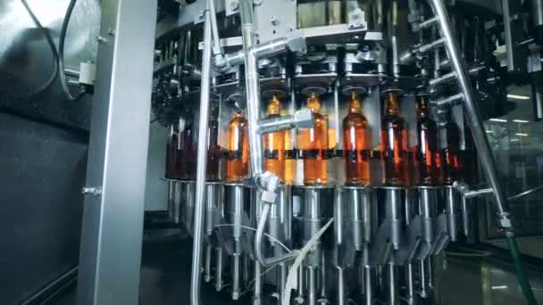 Planta máquina funciona, movendo garrafas com álcool, de perto . — Vídeo de Stock