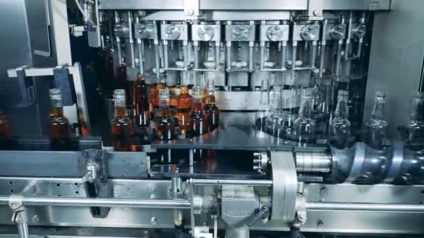 En maskin fyller flaskor med alkohol. Whisky och konjak produktionslinje. — Stockvideo