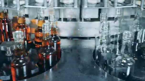 Flessen vullen op een transportband. Whisky en brandy distilleerderij — Stockvideo