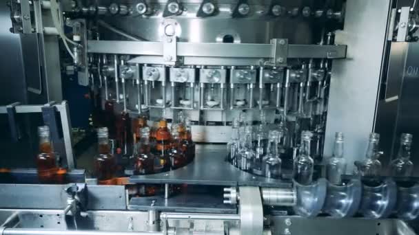 Whiskey and brandy production line. Factory machine pouring alcohol into bottles, close up. — Stock Video