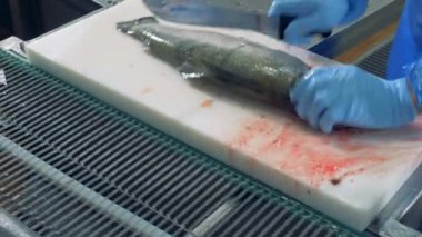 Split kılıçbalığını hiçbir başkanları ile taşıyıcı konur. 4k