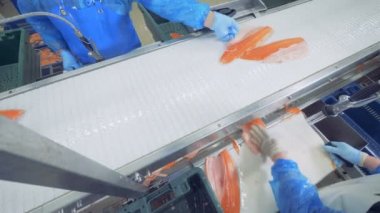 Balık parçalarını konveyör ve süreç içinde kesme boyunca hareket ediyor