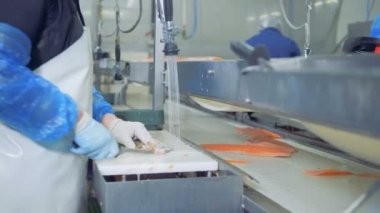 Fabrika çalışan kemer somon gövdesinden alarak ve kesim