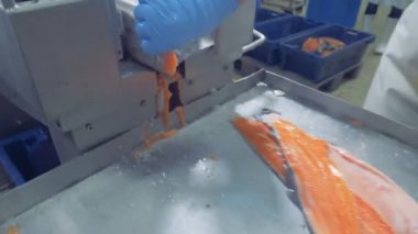 Somon parçaları konveyör ve kenara hareket ediyor