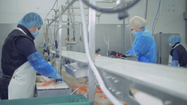 Fabriek eenheid met filets van forellen krijgen gehakt door werknemers — Stockvideo