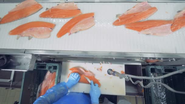 Forellenfilets werden geschnitten und von oben betrachtet verarbeitet — Stockvideo