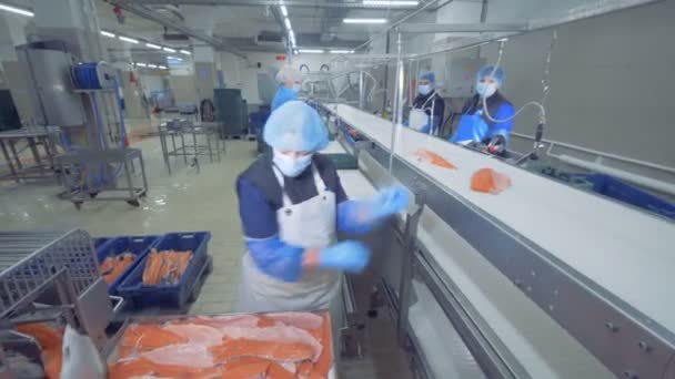 Funcionário da fábrica está colocando pedaços de truta no transportador — Vídeo de Stock