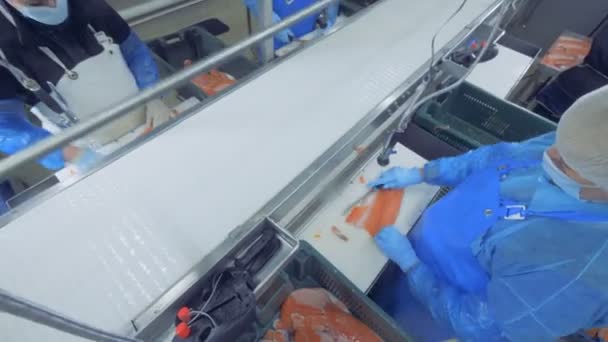 Contenitore di plastica con tronchi di salmone in vista dall'alto — Video Stock