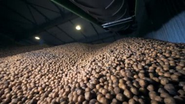 Patates bir depo, büyük bir yığın yakın çekim.