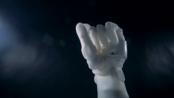 White bionic hand moving. Metal prosthetic hand working. — Stock Video