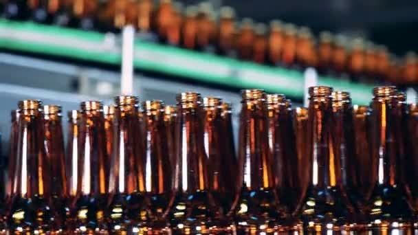 Glazen flessen verplaatsen op een regel in een brouwerij, close-up. — Stockvideo