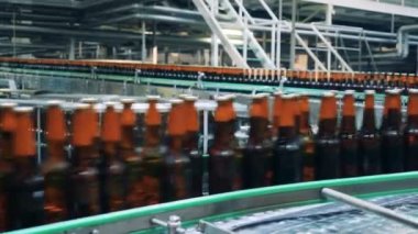 Tam şişe bira yakın bir konveyör üzerinde gidiş yukarıya ile.