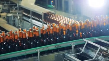 Birçok şişe bira fabrikası bir satıra gidiyor.