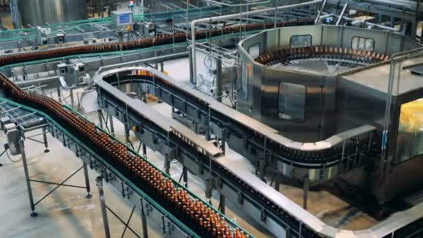 Equipo cervecero moviendo botellas de cerveza. Fábrica instalación interior . — Vídeo de stock