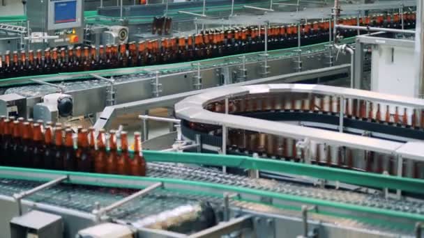 Flaskor med öl pågår ett bryggeri transportband, närbild. — Stockvideo