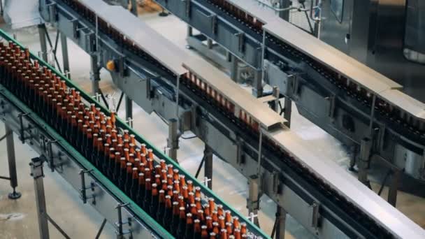 Brauereiförderer, die mit Flaschen arbeiten. Innenraum der Fabrik. — Stockvideo